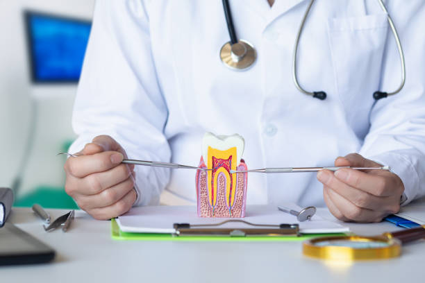 Best Urgent Tooth Repair  in Binghamton University, NY